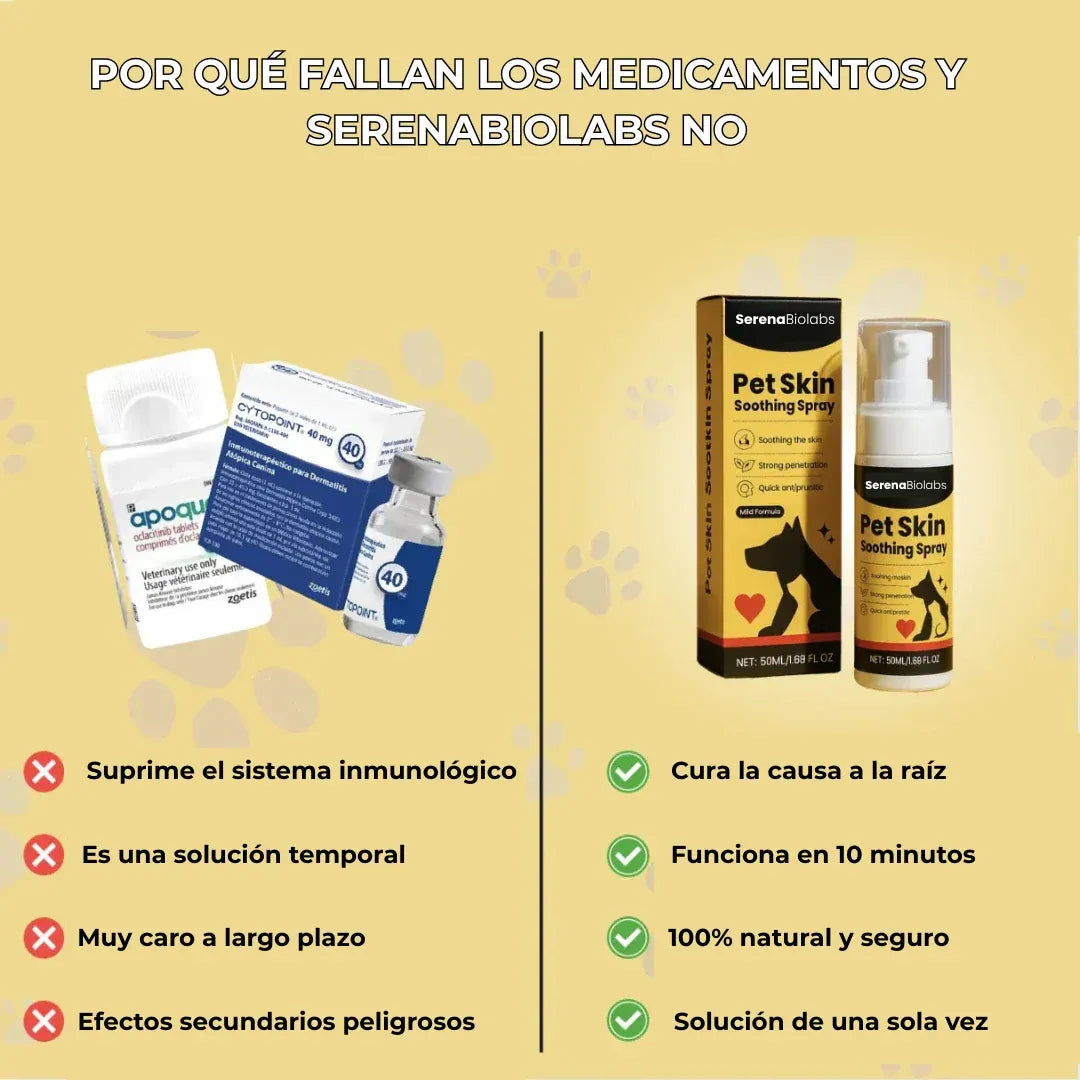Encabezado